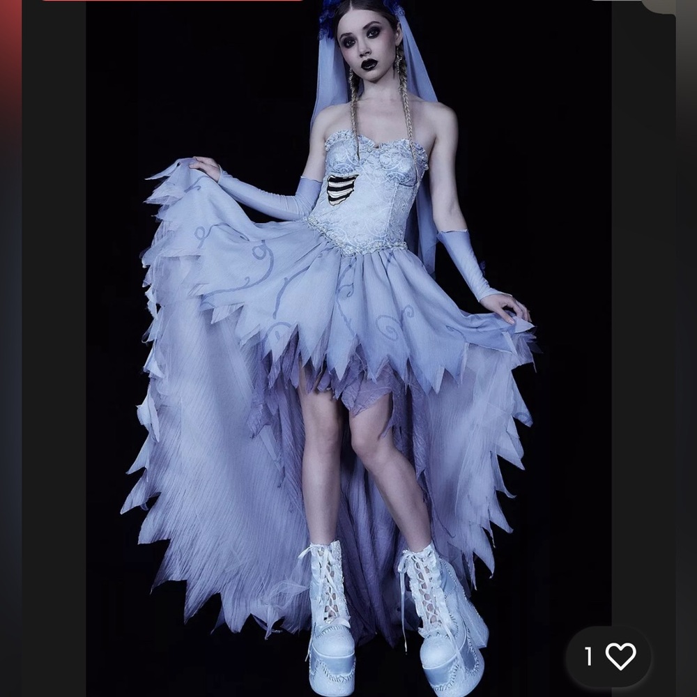 MAJOR ISO! Looking for this Dollskill Corpse bride costume in size large pls lmk